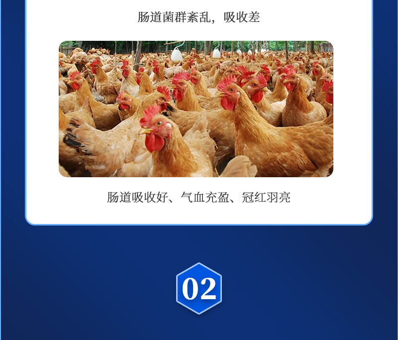 �൰��ʦ��������ҳ_03