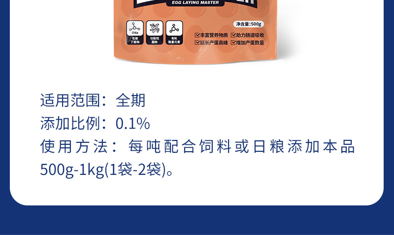 �൰��ʦ��������ҳ_08