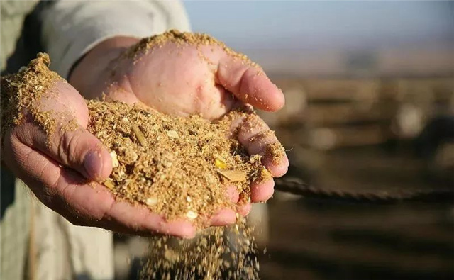 �������Ӽ�