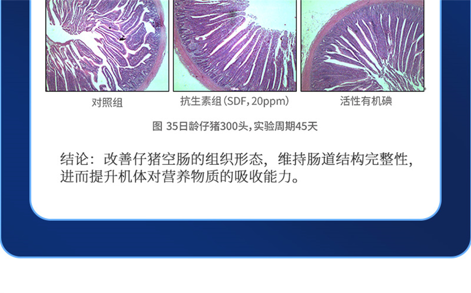 bbin��ӯ�������������Ӽ�����120��Ʒ����