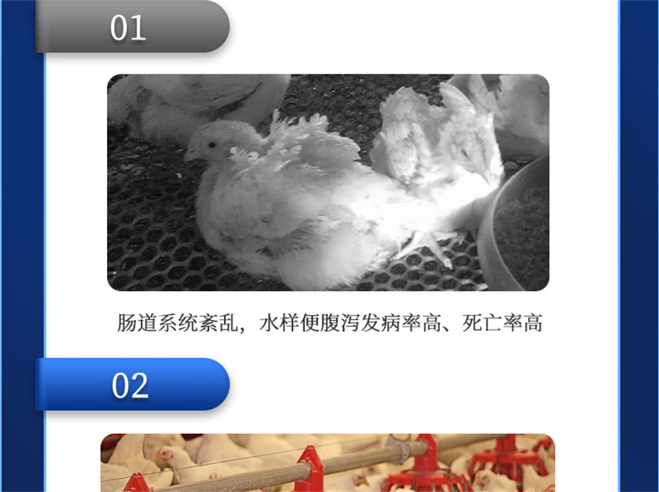 bbin��ӯ�������������Ӽ����ﱦ��Ʒ����