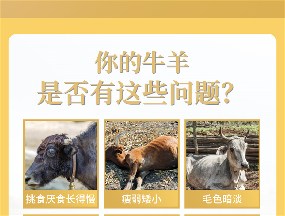 bbin��ӯ����ţ���������Ӽ�ţ��׳������Ʒ����