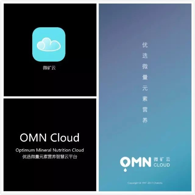 bbin��ӯ΢����