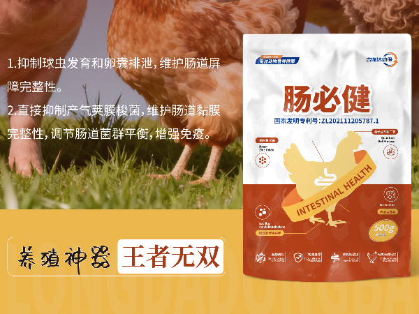 300g-1kg��Ͷ���������Ļر��������ؽ����ۺ�Ч�����