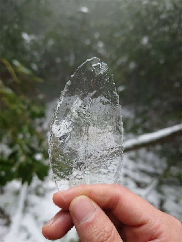 bbin��ӯ��Ӱ������Ʒ����Ҷ��