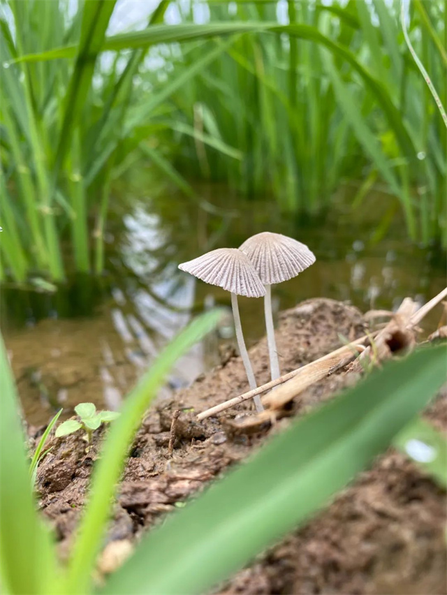 bbin��ӯ��Ӱ������Ʒ�����¡�