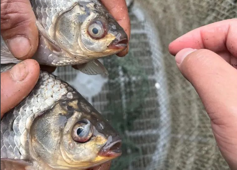 Խ������ο��ٸ�����Ϻ����������