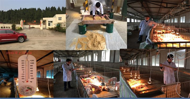 bbin��ӯ����������к��������