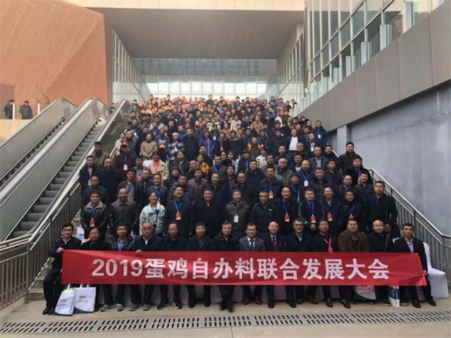 �ӱ������԰������Ϸ�չ���