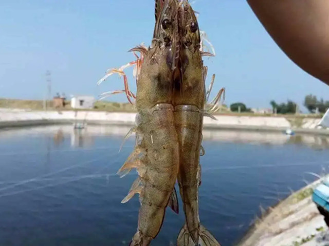 ��Ϻ�����ؾ�