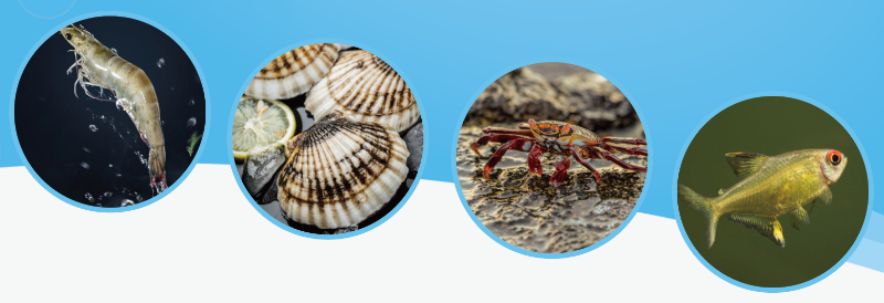 ��Ϻ���Ʒ�ʽ