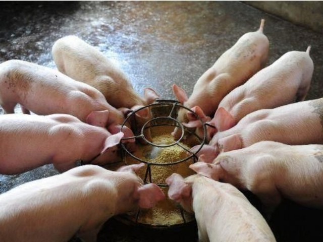 �������������Ӽ�