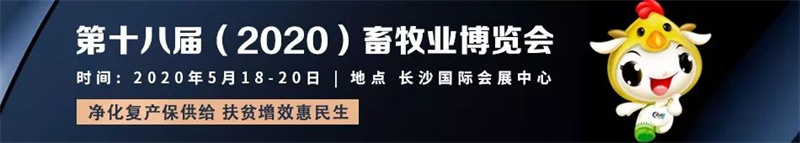 2020������ҵչ����