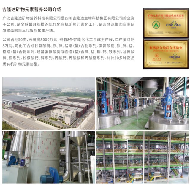 bbin��ӯ��̬