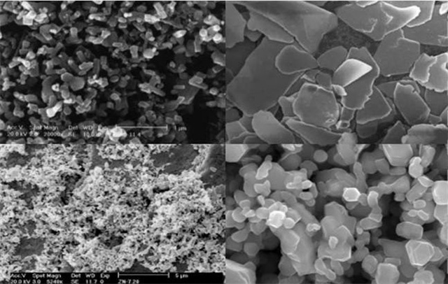 ����п-bbin��ӯ����п