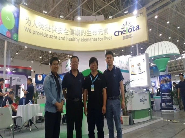 �󲩻�bbin��ӯ��װչ̨