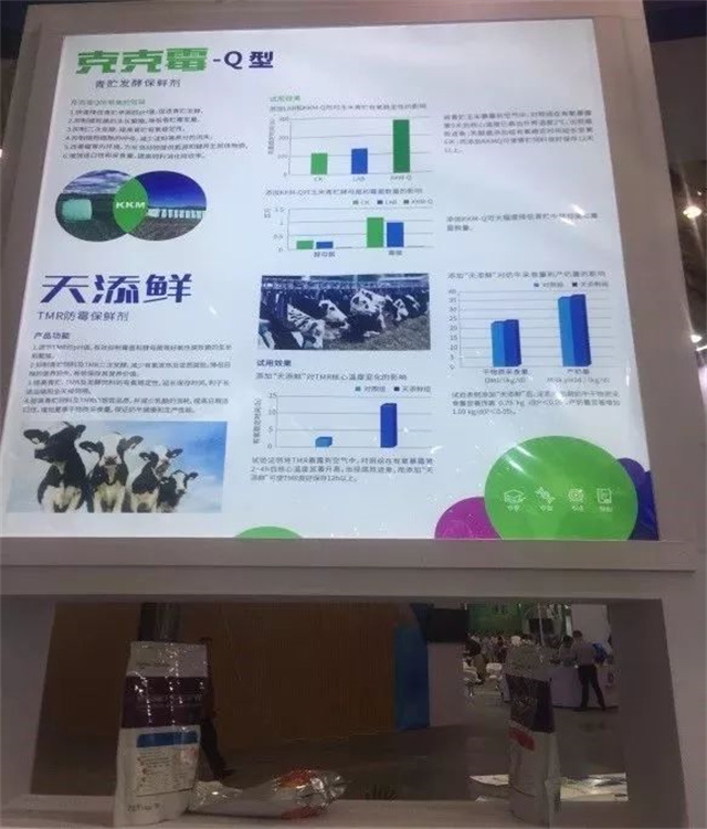 �󲩻�bbin��ӯչ��