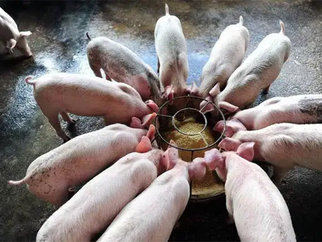 �������Ӽ�