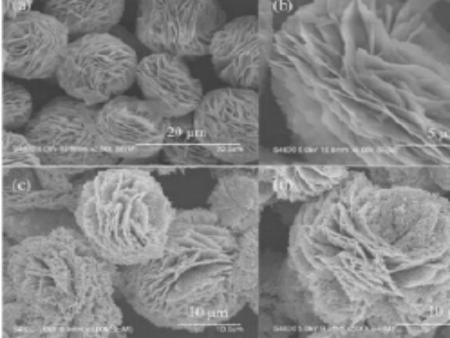 bbin��ӯ����п