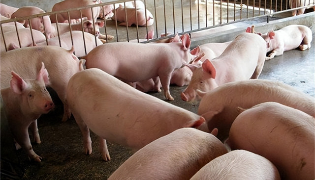 2022��ǰ����������������