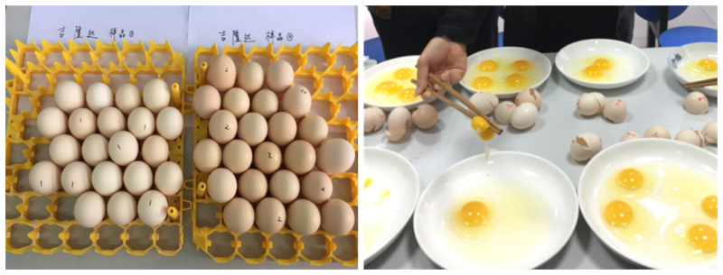 ����΢��Ԫ��