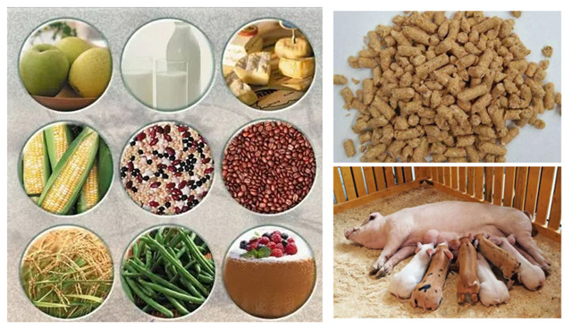 ù���������������뽵�ⶾ���������