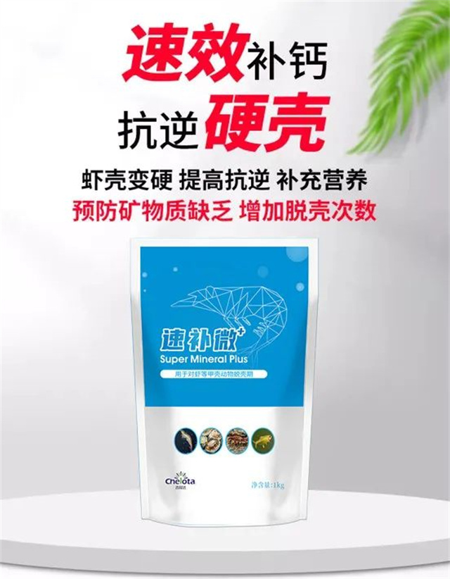 bbin��ӯ�������Ӽ��ٲ�΢+