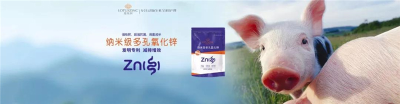 ���������Ӽ�