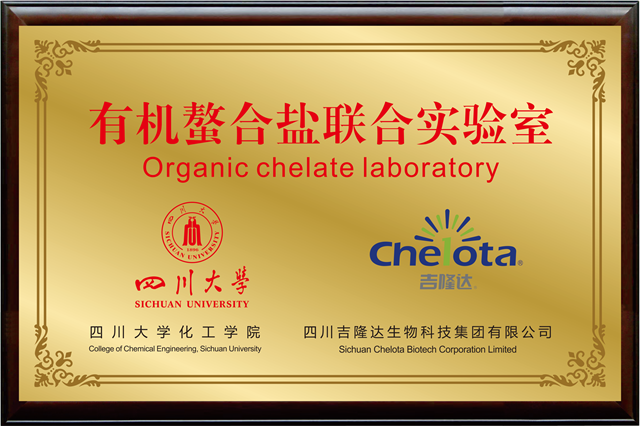 �л�����������ʵ����