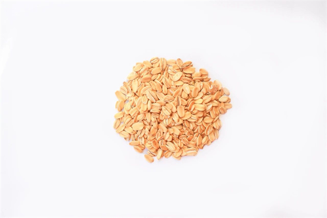 �������Ӽ�