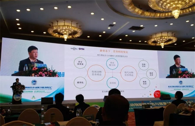 �����ʿ�������ֳ���Ƭ