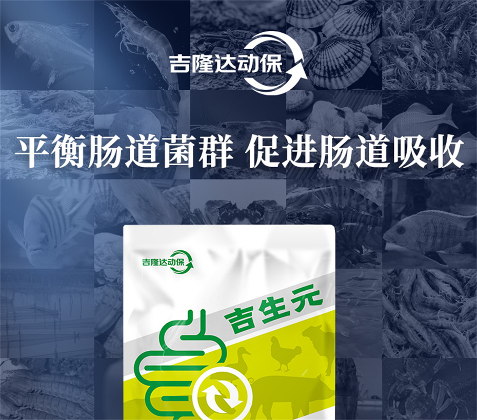 bbin��ӯ�����������Ӽ�����Ԫ��Ʒ����