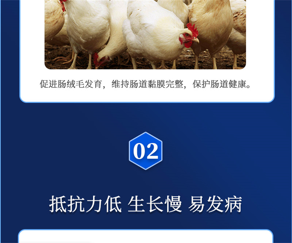 bbin��ӯ�����������Ӽ�����Ԫ��Ʒ����