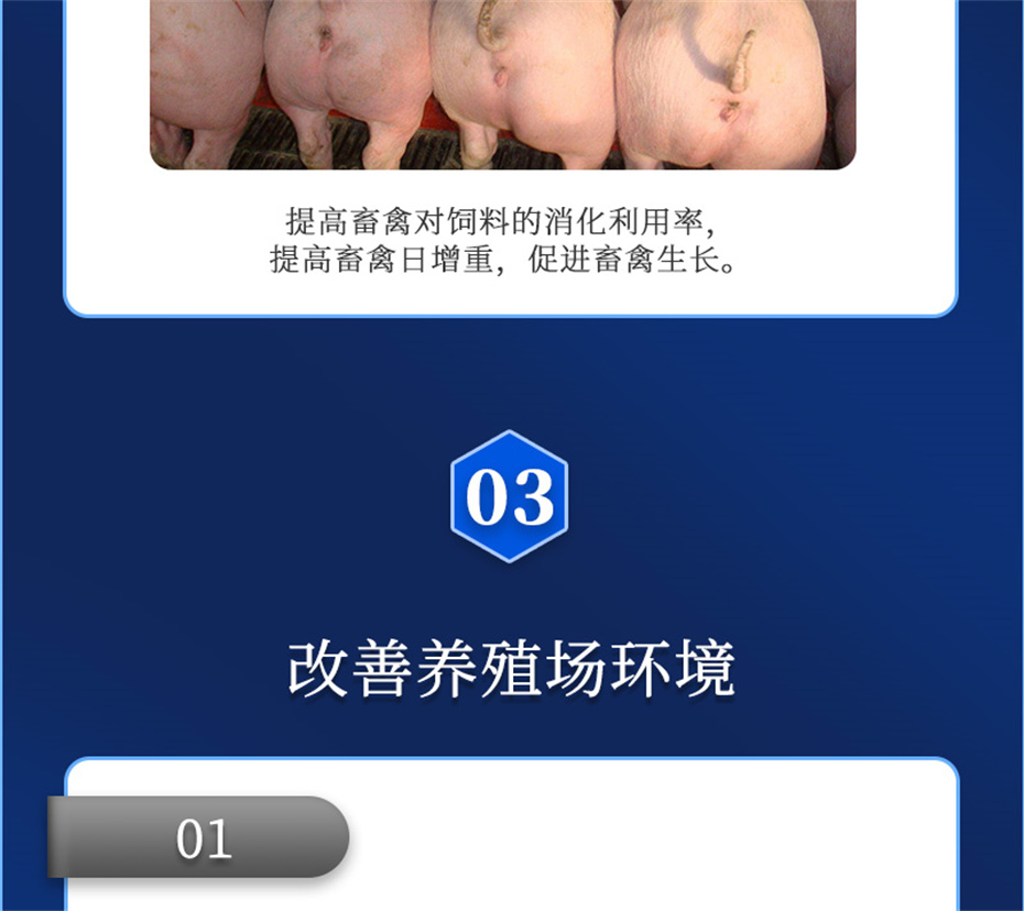 bbin��ӯ�����������Ӽ�����Ԫ��Ʒ����