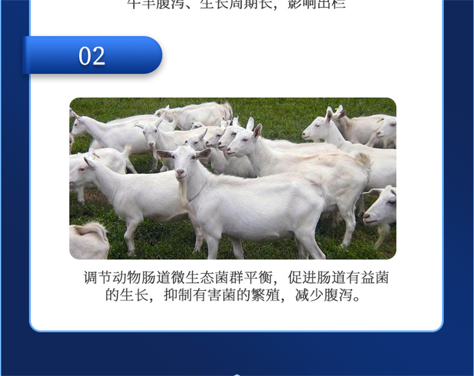 bbin��ӯ����ţ���������Ӽ�θ��plus��Ʒ����