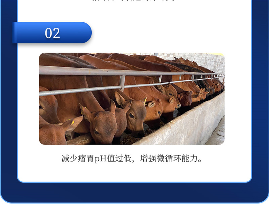 bbin��ӯ����ţ���������Ӽ�θ��plus��Ʒ����