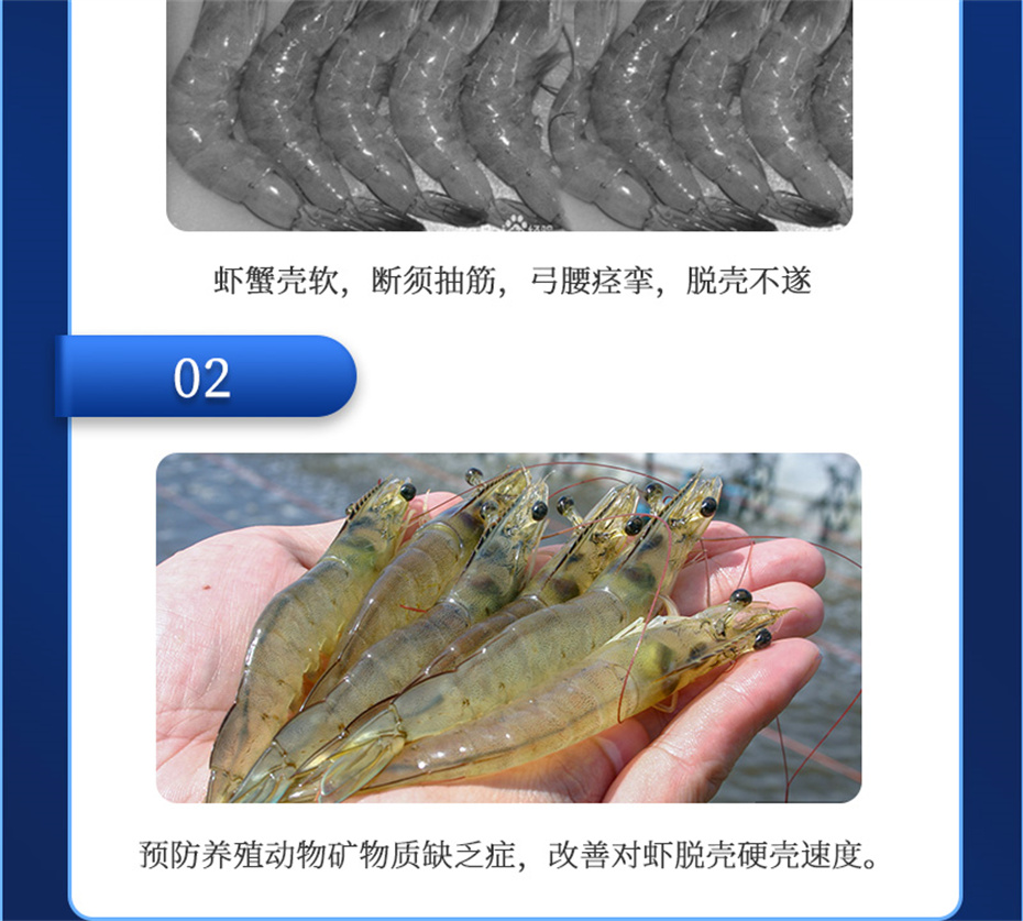 bbin��ӯ����ˮ���������Ӽ��ٲ�΢s+��Ʒ����