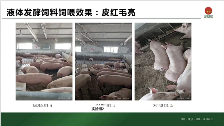 Һ�巢��������ιЧ��