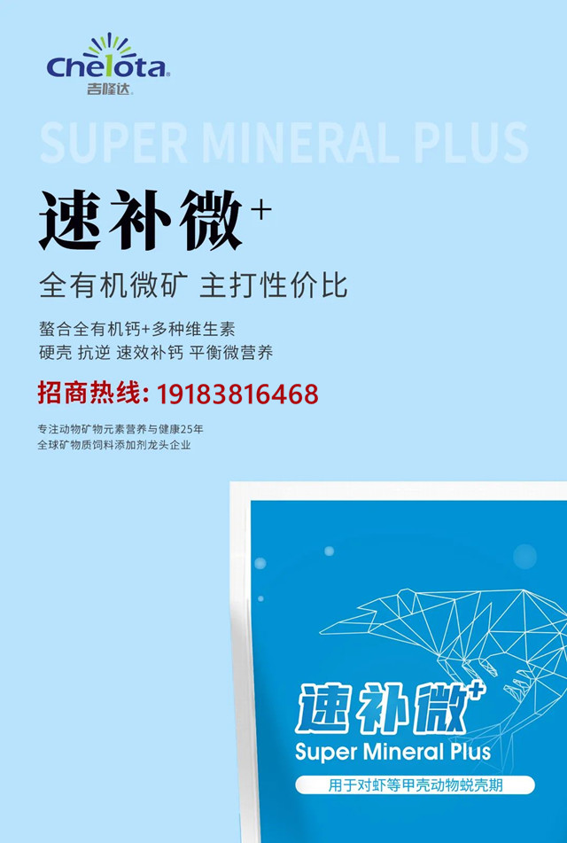 �л�΢������bbin��ӯˮ����������