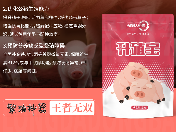 ÿ������2kg��Ͷ���������Ļر�������ֳ�����ۺ�Ч�����