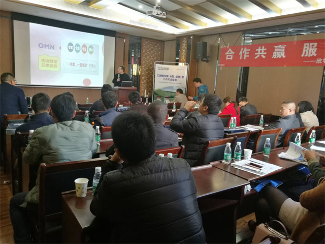 bbin��ӯ����Ѫ���������Ӽ���Ч�ֳ�����ͼƬ