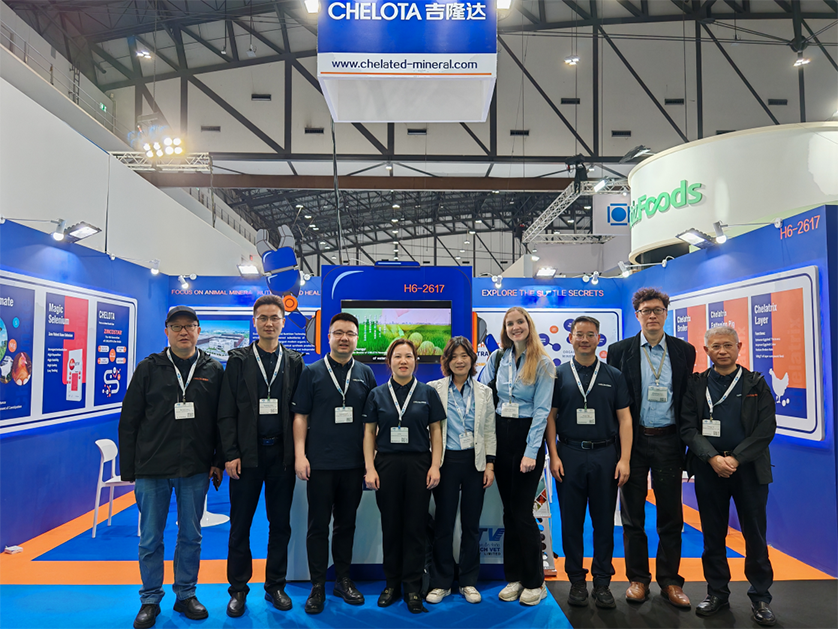 ����������̨����bbin��ӯȫ���г���չ����