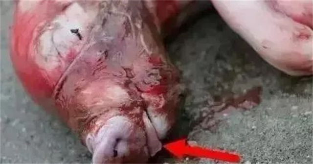 �ж�ĸ���Ƿ�����3������ĸ���ӹ���λ