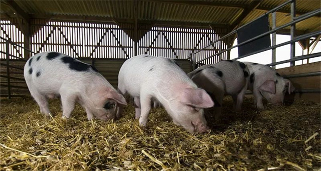 С��������