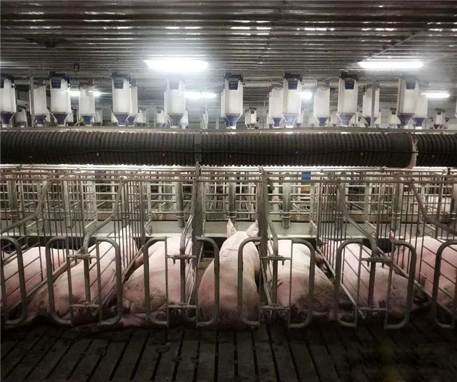 �������Ӽ�