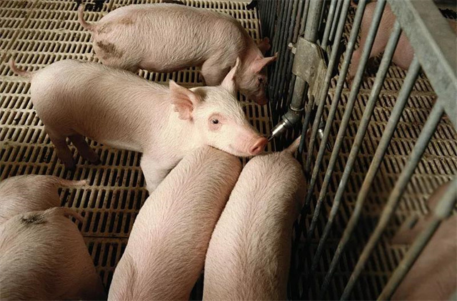 ���ۻ���