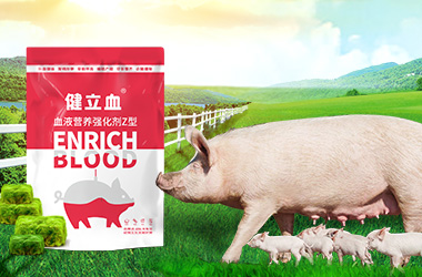 bbin��ӯ�������ӹ�����