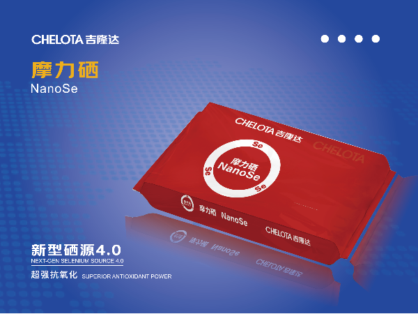 ���׻�� ��΢���ܡ�������bbin��ӯĦ�����ļ���ͻ��