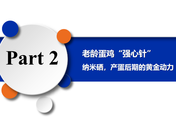 ���䵰����ǿ���롱����Ħ�������������ڵĻƽ���