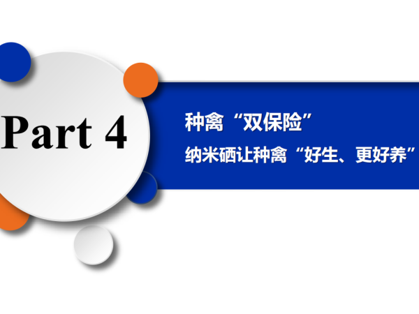 ���ݡ�˫���ա�����Ħ���������ݡ���������������